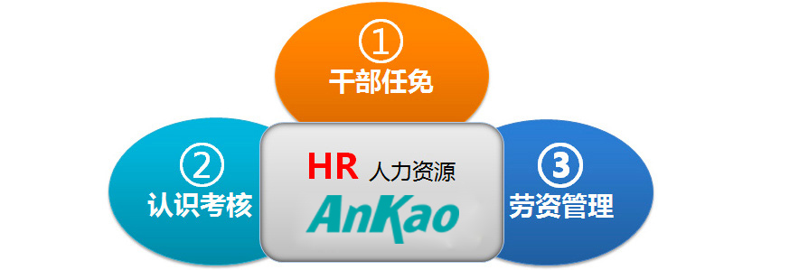 武汉网神通信息科技软件HR软件介绍