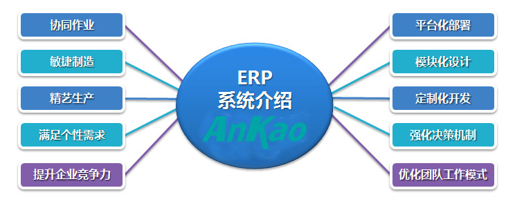 ERP系统的介绍