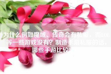 为什么例如魔域、传奇会有私服，而LOL等一些游戏没有？制造手游私服的话，哪些手游比较火爆